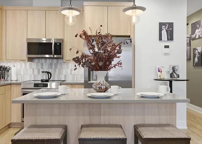 Black Gallery Solar 2br Woodlawn Apartment Chicago
